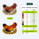 Wooden Embroidery Blanks Set &ndash; &ldquo;Easter&rdquo; FLSW-008 FLSW-008 photo 8