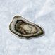 Plastic Cross-Stitch Kit &ndash; "Oyster" (Double-Sided) FLX-096 FLX-096 photo 1
