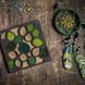 Bead Organizer Box &ndash; &ldquo;Autumn Leaves&rdquo;, With Clear Lid FLZB-042 FLZB-042 photo 5