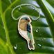 Bead Embroidery Kit (Plastic Base) &ndash; &ldquo;Blue Jay&rdquo; (Double-Sided) FLPL-090 FLPL-090 photo 1