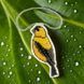 Bead Embroidery Kit (Plastic Base) &ndash; &ldquo;American Goldfinch&rdquo; (Double-Sided) FLPL-091 FLPL-091 photo 1