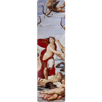 Modular Organizer Box &ndash; &ldquo;Organizer Lid&rdquo; FLDD-006/20KP