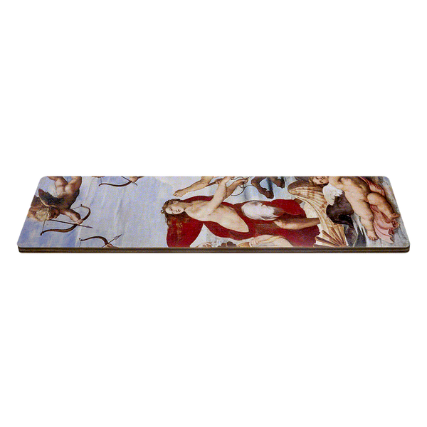 Modular Organizer Box &ndash; &ldquo;Organizer Lid&rdquo; FLDD-006/20KP