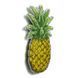 Plastic Cross-Stitch Kit &ndash; "Pineapple" (Double-Sided) FLX-099 FLX-099 photo 5