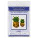 Plastic Cross-Stitch Kit &ndash; "Pineapple" (Double-Sided) FLX-099 FLX-099 photo 7