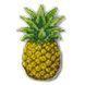 Plastic Cross-Stitch Kit &ndash; "Pineapple" (Double-Sided) FLX-099 FLX-099 photo 3