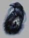 Cross-Stitch Pattern &ndash; "Call of the Night" WLP-067 WLP-067 photo 2