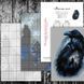 Cross-Stitch Pattern &ndash; "Call of the Night" WLP-067 WLP-067 photo 11