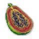Plastic Cross-Stitch Kit &ndash; "Papaya" (Double-Sided) FLX-059 FLX-059 photo 3