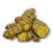 Plastic Cross-Stitch Kit &ndash; "Ginger Root" (Double-Sided) FLX-076 FLX-076 photo 5