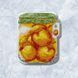 Plastic Cross-Stitch Kit &ndash; "Peach Jam" (Double-Sided) FLX-101 FLX-101 photo 1