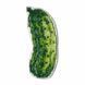 Plastic Cross-Stitch Kit &ndash; "Cucumber" (Double-Sided) FLX-061 FLX-061 photo 5
