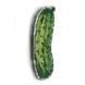 Plastic Cross-Stitch Kit &ndash; "Cucumber" (Double-Sided) FLX-061 FLX-061 photo 4