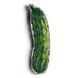 Plastic Cross-Stitch Kit &ndash; "Cucumber" (Double-Sided) FLX-061 FLX-061 photo 6
