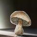 Plastic Cross-Stitch Kit &ndash; "Mushroom" (Double-Sided) FLX-078 FLX-078 photo 1