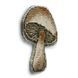 Plastic Cross-Stitch Kit &ndash; "Mushroom" (Double-Sided) FLX-078 FLX-078 photo 4