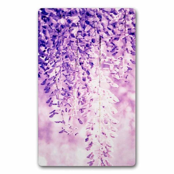 Bead Organizer With Wooden Lid &ndash; &ldquo;Wisteria, Rectangular&rdquo; FLZB-205