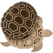 Wooden-Lid Bead Organizer &ndash; &ldquo;Turtle&rdquo; FLZB-118 FLZB-118 photo 4