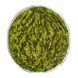 Plastic Cross-Stitch Kit &ndash; "Melon" (Double-Sided) FLX-068 FLX-068 photo 5