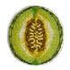 Plastic Cross-Stitch Kit &ndash; "Melon" (Double-Sided) FLX-068 FLX-068 photo 3