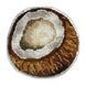 Plastic Cross-Stitch Kit &ndash; "Coconut" (Double-Sided) FLX-071 FLX-071 photo 3