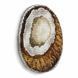 Plastic Cross-Stitch Kit &ndash; "Coconut" (Double-Sided) FLX-071 FLX-071 photo 5