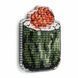 Plastic Cross-Stitch Kit &ndash; "Caviar Sushi" (Double-Sided) FLX-073 FLX-073 photo 5