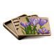 DIY Bead Embroidery Organizer Kit &ndash; &ldquo;Crocuses&rdquo; FLZB-249 FLZB-249 photo 1
