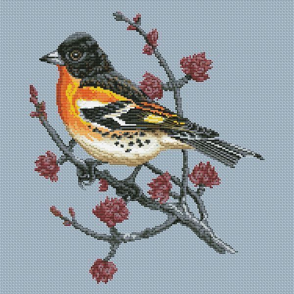 Cross-Stitch Pattern &ndash; "Brambling" WLP-046