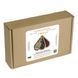 Scissors Case (inside size 6.5 &times; 14 cm, &ldquo;Double-Layer&rdquo;) FLZB(N)-021 FLZB(N)-021 photo 5