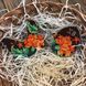 Wooden Bead Embroidery Kit &ndash; &ldquo;Easter Egg&rdquo; FLK-162 FLK-162 photo 3