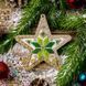 Bead Embroidery Kit (Plastic Base) &ndash; &ldquo;Christmas Ornament &ndash; Festive Star&rdquo; (Double-Sided) FLPL-069 FLPL-069 photo 1