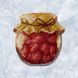 Plastic Cross-Stitch Kit &ndash; "Strawberry Jam" (Double-Sided) FLX-107 FLX-107 photo 1