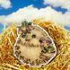 Plastic Cross-Stitch Kit &ndash; "Chick" FLX-090 FLX-090 photo 1