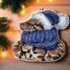 Plastic Cross-Stitch Kit &ndash; "Christmas Ornament &ndash; Snake In Hat" FLX-007 FLX-007 photo 1