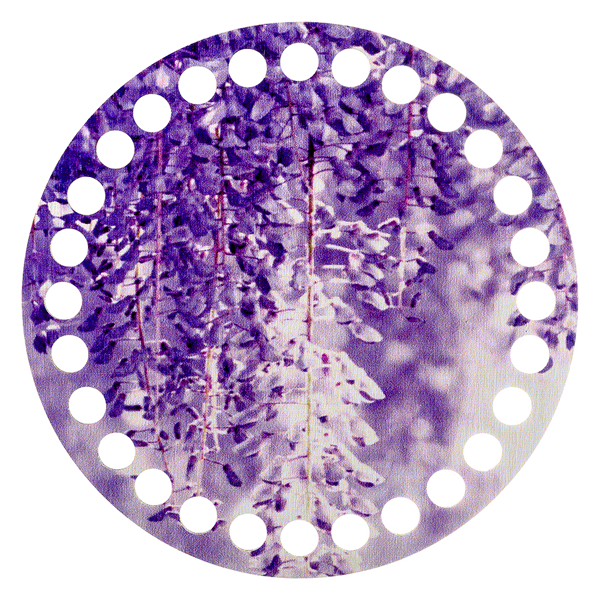 Floss Organizer &ndash; &ldquo;Wisteria, Round&rdquo; FLZ(P)-055