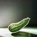 Plastic Cross-Stitch Kit &ndash; "Zucchini" (Double-Sided) FLX-045 FLX-045 photo 1