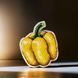 Plastic Cross-Stitch Kit &ndash; "Yellow Pepper" (Double-Sided) FLX-047 FLX-047 photo 1