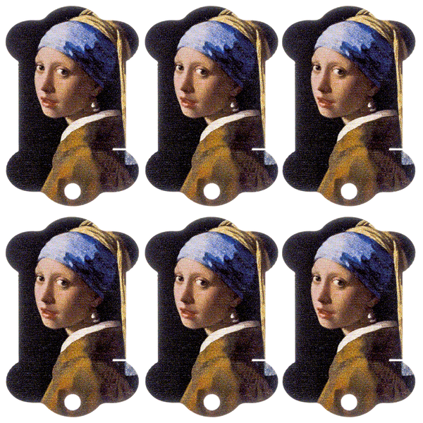 Floss Bobbins &ndash; &ldquo;Girl with a Pearl Earring&rdquo; FLC-102(S) (6 pcs)