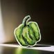 Plastic Cross-Stitch Kit &ndash; "Green Pepper" (Double-Sided) FLX-049 FLX-049 photo 1