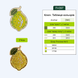 Wooden Embroidery Blanks Set &ndash; &ldquo;Vitamins&rdquo; FLSW-002 FLSW-002 photo 12