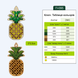 Wooden Embroidery Blanks Set &ndash; &ldquo;Vitamins&rdquo; FLSW-002 FLSW-002 photo 10