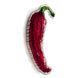 Plastic Cross-Stitch Kit &ndash; "Chili Pepper" (Double-Sided) FLX-050 FLX-050 photo 6
