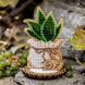 Wooden Bead Embroidery Kit &ndash; &ldquo;Cactus In A Pot&rdquo; FLK-409 FLK-409 photo 1