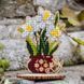 Wooden Bead Embroidery Kit &ndash; &ldquo;Daffodils In A Pot&rdquo; FLK-410 FLK-410 photo 1