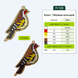 Wooden Embroidery Blanks Set &ndash; &ldquo;Animal World&rdquo; FLSW-005 FLSW-005 photo 11