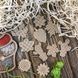 Wooden Embroidery Blanks Set &ndash; &ldquo;Greenhouse&rdquo; FLSW-006 FLSW-006 photo 2