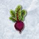 Plastic Cross-Stitch Kit &ndash; "Beet" (Double-Sided) FLX-091 FLX-091 photo 1
