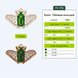 Wooden Embroidery Blanks Set &ndash; &ldquo;Insects&rdquo; FLSW-012 FLSW-012 photo 12
