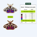 Wooden Embroidery Blanks Set &ndash; &ldquo;Insects&rdquo; FLSW-012 FLSW-012 photo 13